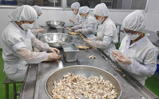 Hỗ trợ vốn cho doanh nghiệp TP HCM