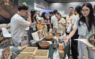 Giá cà phê hôm nay 17- 4: Quay đầu giảm, dân trong nghề thích ứng xu thế cà phê mới