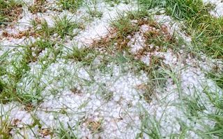 Mưa đá liên tục 4 ngày ở phía Tây Quảng Ngãi