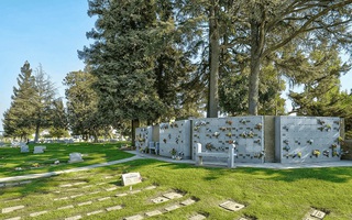 “Thế giới sự sống” gây sốc bên dưới nghĩa trang New York