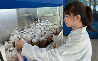 Lan tỏa tinh thần khởi nghiệp