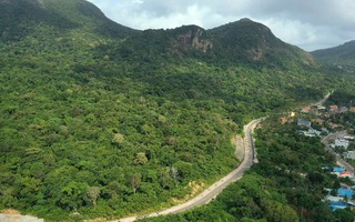 Vụ 42 cây mai vàng: Chỉ đạo mới nhất từ Vườn quốc gia Côn Đảo