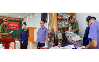 Đồng Nai: Bắt tạm giam 1 nguyên cán bộ phường lừa đảo hơn 28 tỉ đồng 