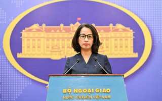 Việt Nam đã triển khai các hoạt động ngoại giao năng lượng ở cấp cao và các cấp