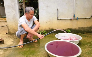 Nhà máy xả thải khiến nước giếng khoan đổi màu tím bất thường bị tạm dừng hoạt động