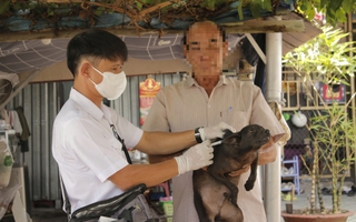 Chó mẹ tấn công nhiều người và cắn chết đàn chó con vừa sinh