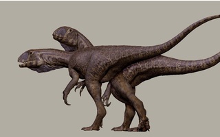 Quái vật 201 triệu tuổi "trỗi dậy" từ mỏ đá ở Mỹ