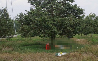 Điều tra vụ người đàn ông tử vong cạnh khẩu súng trong vườn sầu riêng