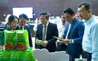 Đà Nẵng thúc đẩy chuyển đổi xanh, hướng tới đô thị sinh thái, thông minh