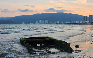 Cận cảnh "vật lạ" trồi lên trên bờ biển Quy Nhơn