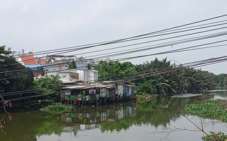 Phản hồi: Gỡ nhánh cây vướng vào dây điện