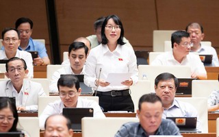 Đại biểu Quốc hội lo ngại khi thiết chế văn hóa ở cơ sở bị thu hẹp