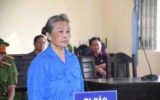 Tuyên án người phụ nữ vu cáo chính quyền, xúc phạm lãnh đạo Đảng và nhà nước