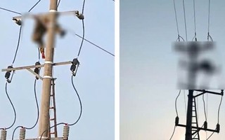 Bàng hoàng phát hiện thi thể nam sinh treo trên cột điện trung thế