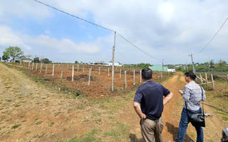 Mua bán đất ở Gia Lai diễn biến phức tạp
