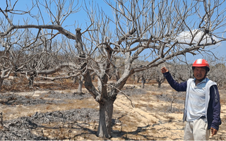 Chuyện khó hiểu ở khu phố Suối Nước