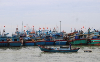 Gia Lai thuê giám sát hành trình để kiểm soát 186 tàu cá rủi ro cao