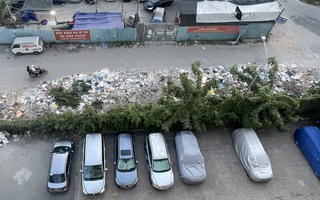 Bãi rác tự phát gây ô nhiễm