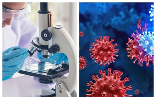 Tổ chức Y tế Thế giới công bố tin vui đến Bệnh viện Bệnh Nhiệt đới TPHCM