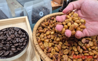 Giá cà phê hôm nay 23-4: Dậy sóng, Nhật Bản thử trồng cà phê trong nhà kính