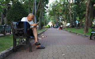 Xanh đô thị, mát tinh thần (*): Sớm phủ xanh thành phố