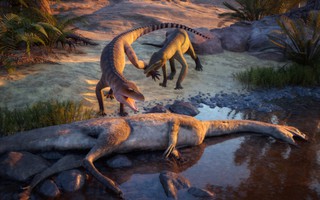 Sinh vật lạ lộ diện sau 210 triệu năm vùi ở Trang Trại Ma