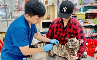 Cảnh báo bệnh dại và thói quen chết người