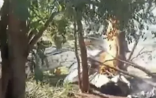 Rơi máy bay chở đầy tiền mặt giữa biên giới 3 nước, nổ ra hàng loạt vụ cướp