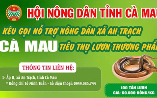 Cà Mau kêu gọi "giải cứu" lươn với giá 60.000 đồng/kg