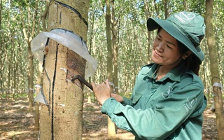 Tích cực chăm lo, xây dựng văn hóa an toàn lao động