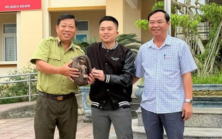 Phát hiện con vật quý hiếm cuộn mình bên vệ đường lúc sáng sớm