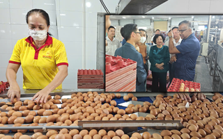 Tiếc cho thương hiệu trứng sạch Ba Huân