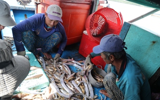 Vì sao nhiều người dân ở "xã An toàn khu" TPHCM chưa nhận được thẻ BHYT miễn phí?