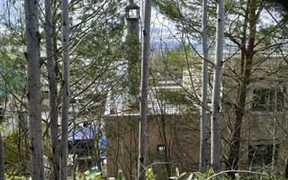 Cảnh sát lục tung sở thú Nhật Bản, tìm thi thể người vợ nghi bị chồng bỏ vào lò thiêu động vật