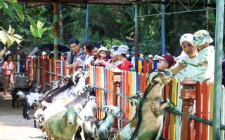 Du lịch nhộn nhịp trong kỳ nghỉ lễ