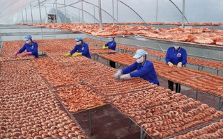 Nâng cao chuỗi giá trị sản phẩm OCOP