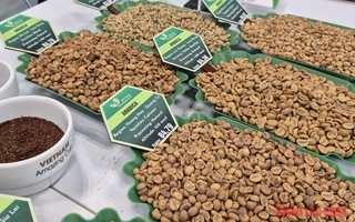 Giá cà phê hôm nay 28-4: Đồng loạt giảm, cà phê đặc sản gây bất ngờ