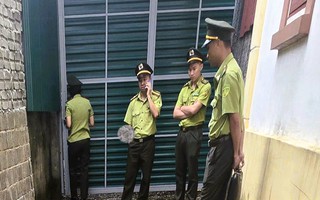 Kiểm lâm "đột kích" nhà dân, thu giữ 122 cây muội hồng