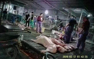 Bịt lỗ hổng quản lý thực phẩm