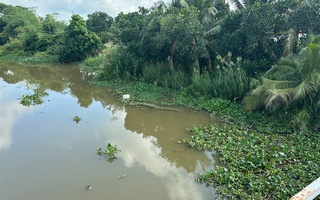 Tây Ninh ra thông báo khẩn việc cá sấu xuất hiện ở ấp Cá Tôm