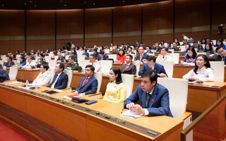 Báo cáo xác nhận tư cách 500 đại biểu Quốc hội khóa XVI