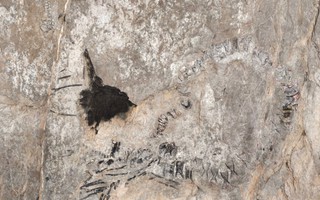 Thủy quái 145 triệu tuổi chưa rõ loài gì "trỗi dậy" ở Cuba