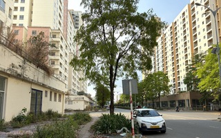 Rà soát quỹ nhà tái định cư sau chỉ đạo của Bí thư Thành ủy TPHCM