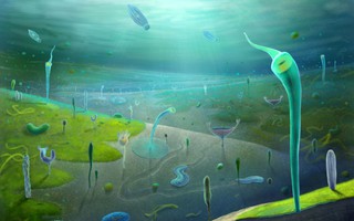 700 sinh vật lạ từ Trung Quốc viết lại lịch sử sự sống