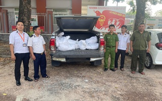 Bất ngờ khi mở các bao tải trên chiếc xe bán tải đang lưu thông trên địa bàn TPHCM 