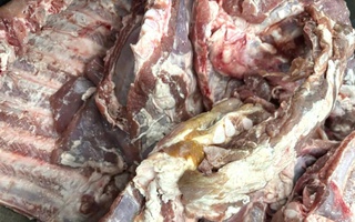 Kiểm soát chặt khâu giết mổ và tiêu thụ thịt heo