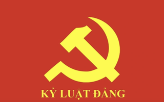 Ban Bí thư khai trừ ra khỏi Đảng 3 đảng viên vi phạm