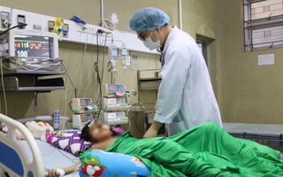 Một học sinh lớp 4 được gia đình đưa đến bệnh viện trong tình trạng nguy kịch sau khi bị ong đốt