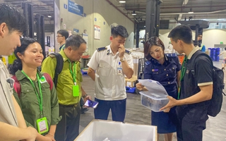 Tiếp nhận 28 cá thể rùa quý hiếm hồi hương từ Hàn Quốc