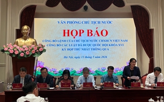 Công bố Lệnh của Chủ tịch nước về luật thuế liên quan đến hộ kinh doanh